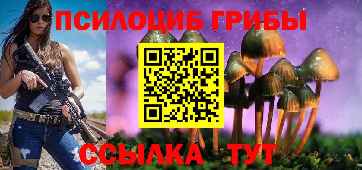 Галлюциногенные грибы Cubensis  Вход с VPN  хочу наркоту  Сертолово  Псилоцибиновые грибы мухоморы 