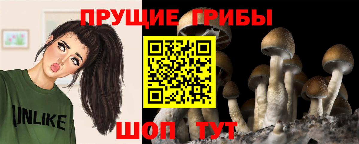 Галлюциногенные грибы Magic Shrooms Сертолово